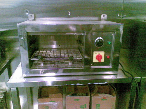 सलामैंडर