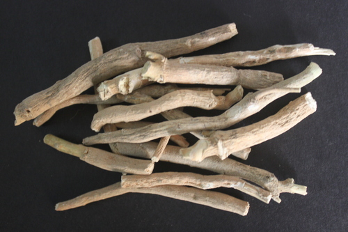 विथानिया सोम्निफेरा रूट्स