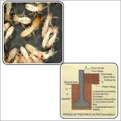 Pre Construction Anti Termite Treatment