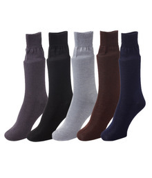 बेंज़र इलास्टिसिटी: मध्य