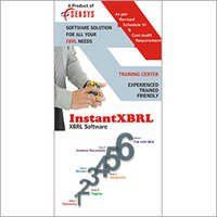 Instant Xbrl