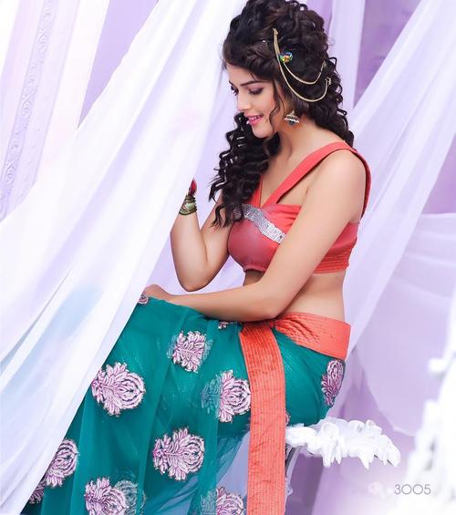 डिज़ाइनर नेट कढ़ाई वाली साड़ी