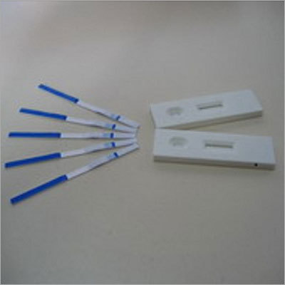 Rapidtest