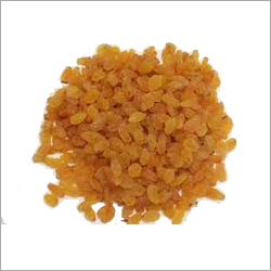 बीज रहित किशमिश