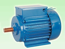 तीन चरणीय विद्युत मोटर