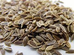 Dill Seeds