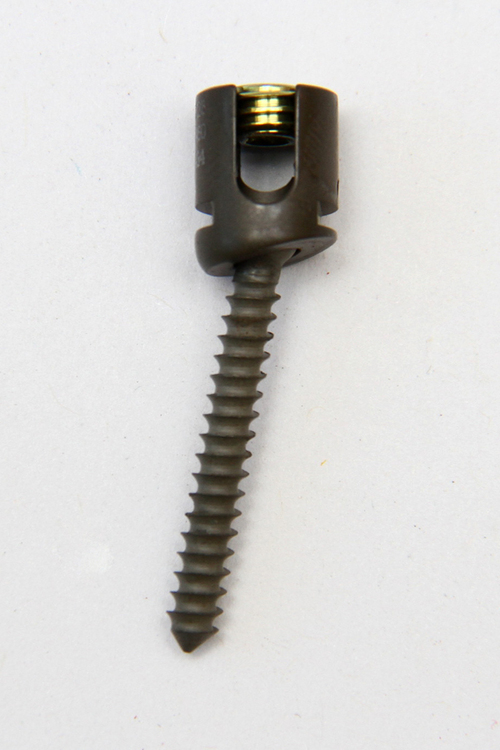Gray Cervical Lateral Mass Screw