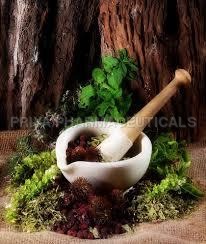 सभी चुराल सूची 2