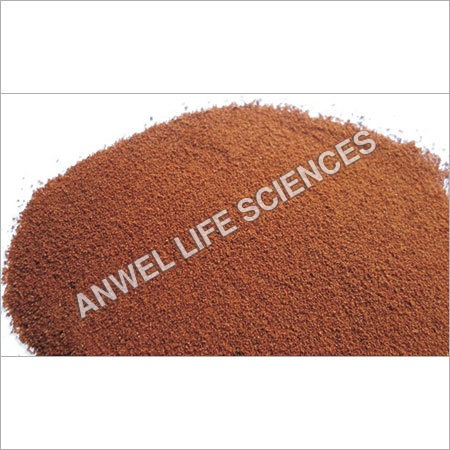 Spray Dried Instant Chicory Powder