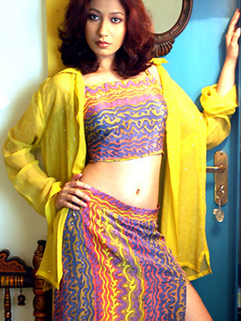 इंडो वेस्टर्न ड्रेस