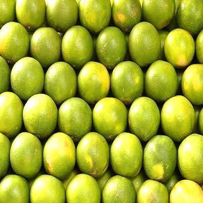 Fresh Citrus