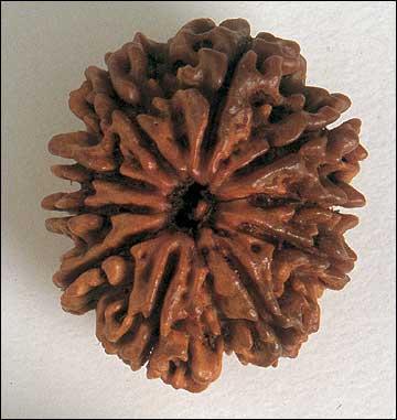 मुखी