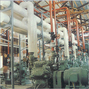 Cold Storage
