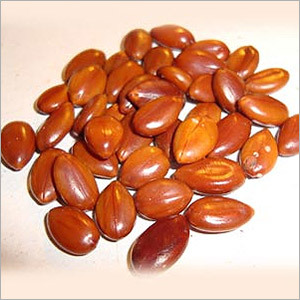 कैसिया फिस्टुला