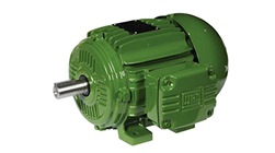 High Torque Motor
