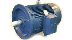 Flange Motors