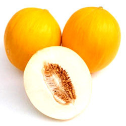 SONA Muskmelon Seeds