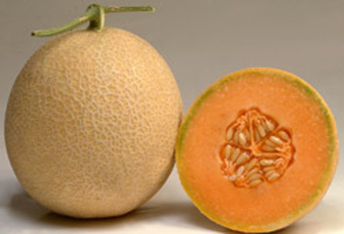 MADHURI Cantaloupe Seeds - Hybrid Seed, 85% Germination Rate, Round Shape, Dense Netting, Orange Flesh, 70-75 Days Maturity | Disease Resistant, Fast Growth, Long Shelf Life, Pharma Use, Rich Nutrients, Sweet Fruit