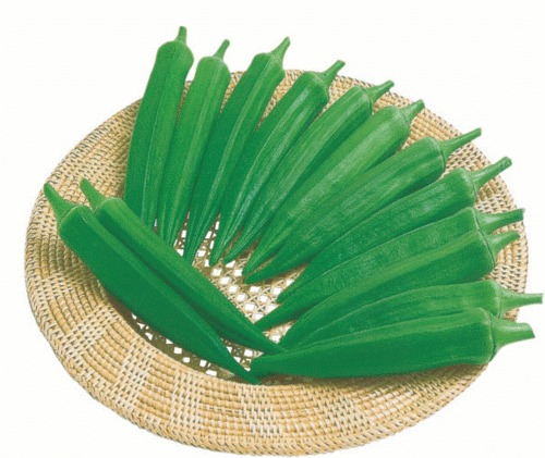 यशोदा भिंडी बीज