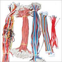 इन्वर्टर वायरिंग हार्नेस