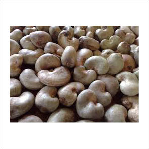 Cashew Nuts