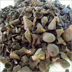 पाम कर्नेल शेल्स