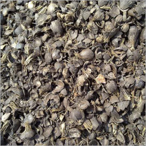 ताड़ के बीजों की खोल