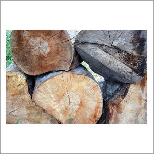 Timber Log