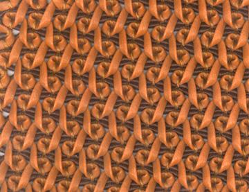 फैंसी फ़िटिंग अपर