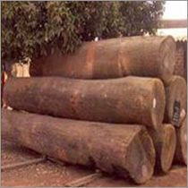 साल की लकड़ी के लॉग घनत्व: कम