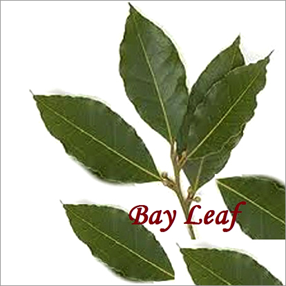 तेज पत्ते