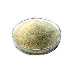 सोडियम एल्जिनेट पाउडर