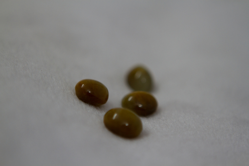 कीमती और अर्ध-कीमती पत्थर