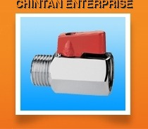 Mini Ball Valve M/F