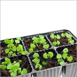 बीज बोने के लिए प्लास्टिक trays