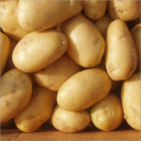 Potato