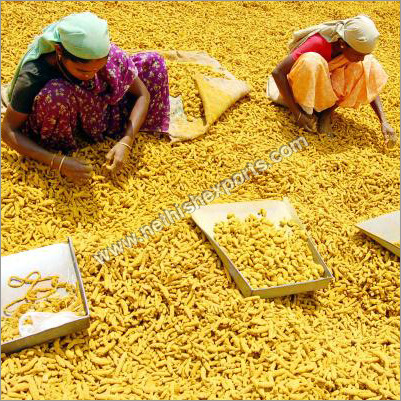 सूखी हल्दी वाली उंगली