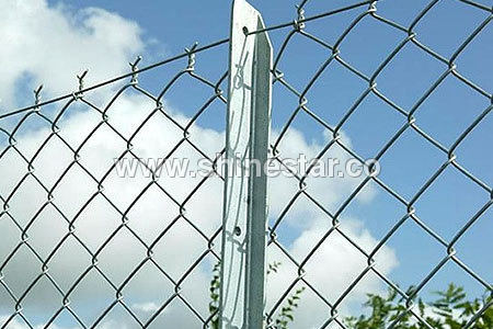 Chain Link Wire Netting