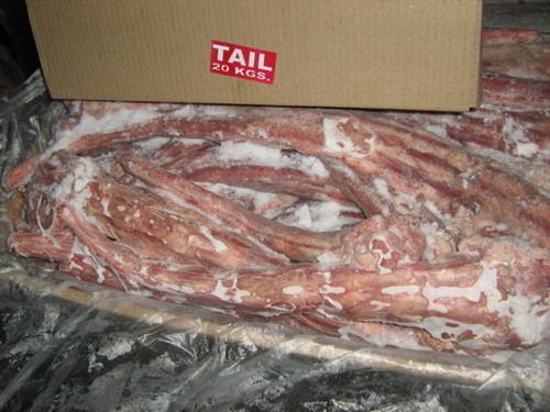 जमी हुई भैंस की पूंछ