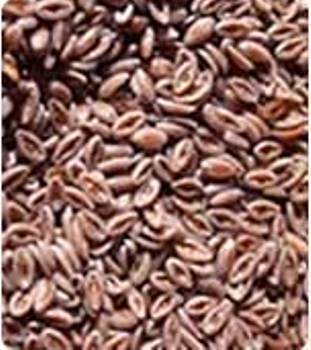 Psyllium Seed