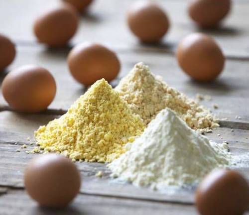 अंडे का पाउडर