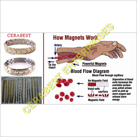 Biomagnetic Titanium Bracelet