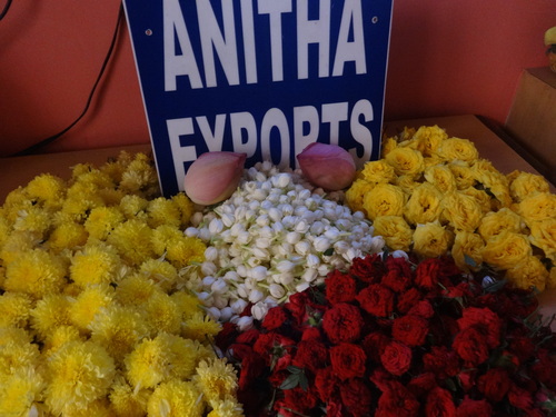 पीले हिंदू समारोह