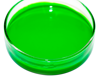 Water Based Pigment Dispersion Grade: Flamingo