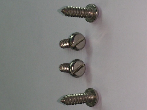 SS Self Tapping Screw