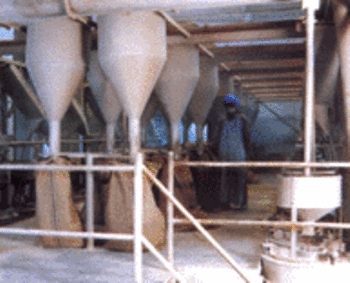 Psyllium making  Machine