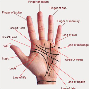 Palmistry समाधान