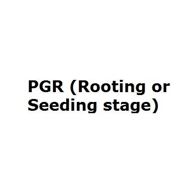 Pgr (Rooting Or Seedling Stage)