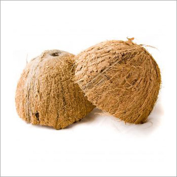 नारियल और नारियल फाइबर