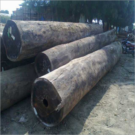 गुयाना सालवुड